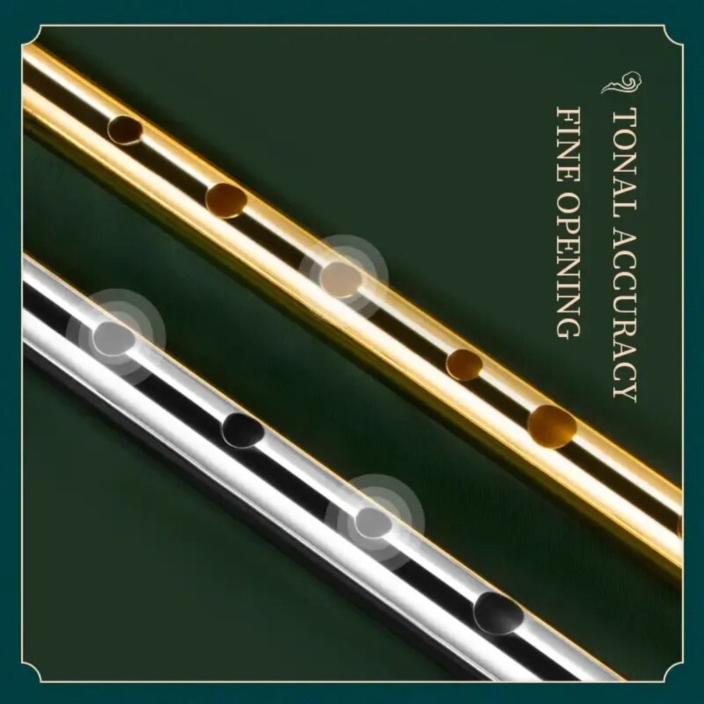 Ирландский тин-уилт с 6 отверс – обзор и цена Musical Instrument Irish